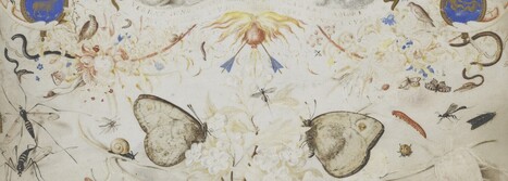 Français-Philosophie en Prépa scientifique - Programme 2026 : Expériences de la nature | Insect Archive | Scoop.it