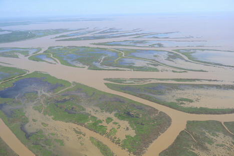 Louisiana has a new leader for its coastal restoration efforts • | Coastal Restoration | Scoop.it