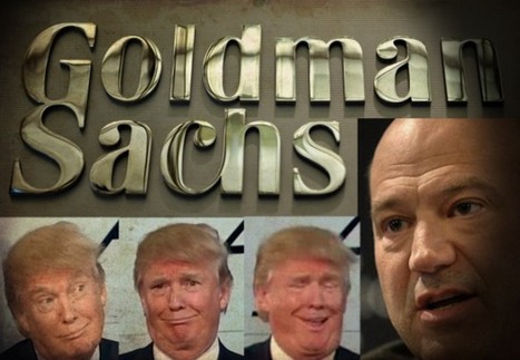 TRUMP pone como PRINCIPAL ASESOR ECONÓMICO…¡DIRECTAMENTE al PRESIDENTE de GOLDMAN SACHS! | La R-Evolución de ARMAK | Scoop.it