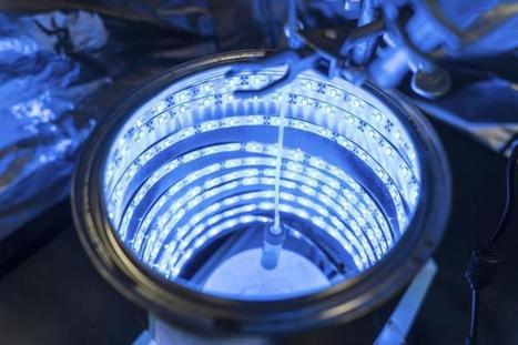 Kurzweil : "New artificial photosynthesis process converts CO2 to fuel | Ce monde à inventer ! | Scoop.it