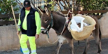 Tamaris int&egrave;gre le cheptel municipal | Cheval et Nature | Scoop.it