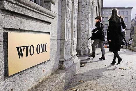 India faces headwinds at WTO over food security, farm, trade demands | ASIES | Scoop.it