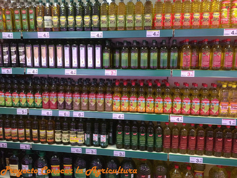 Algunas cosas interesantes sobre el aceite que nadie  te había contado hasta ahora | OLIVE NEWS | Scoop.it