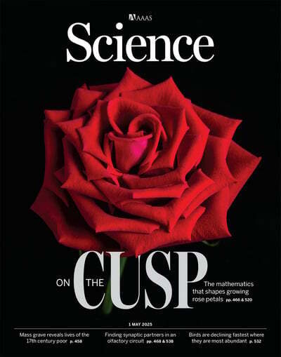 Geometrically frustrated rose petals | Plant and Seed Biology | Scoop.it