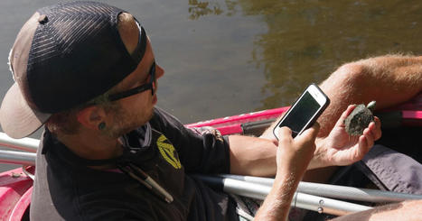 Cleaning turtles after the Kalamazoo River oil spill boosted their survival rates, a study finds  / le 04.10.2022 | Pollution accidentelle des eaux (+ déchets plastiques) | Scoop.it