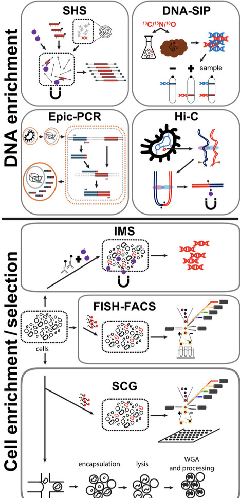 Targeted analysis of metagenomes: divide and conquer | BAdv | RMH | Scoop.it