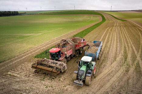 Pesticides néonicotinoïdes : l’Assemblée fait un pas vers un retour sur certaines cultures | Revue de presse du Centre de doc | Scoop.it