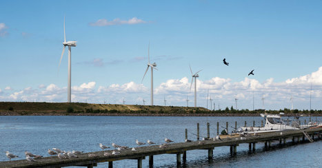 A Danish Wind Turbine Maker Harnesses Data in a Push to Stay Ahead | Smart Cities & The Internet of Things (IoT) | Scoop.it