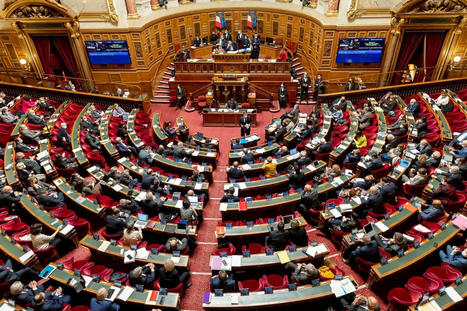 Le Sénat vote pour l’interdiction des thérapies de conversion | Famille et sexualité | Scoop.it