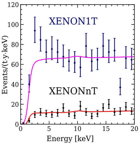 XENONnT descarta el exceso observado por XENON1T entre 1 y 7 keV | Ciencia-Física | Scoop.it