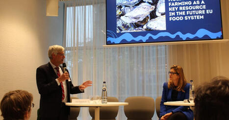 MEPs urge recognition for shellfish farming in EU FOOD POLICY | CIHEAM Press Review | Scoop.it