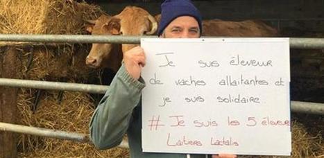 #jesuisles5éleveurslaitierslactalis : Le soutien aux éleveurs remerciés s’organise sur les réseaux sociaux | Lait de Normandie... et d'ailleurs | Scoop.it