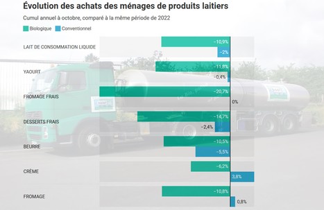 Pourquoi la collecte de lait bio va continuer de baisser | Lait de Normandie... et d'ailleurs | Scoop.it