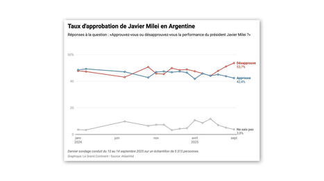 ARGENTINE : Milei n’a jamais été aussi impopulaire | AMÉRIQUES | Scoop.it