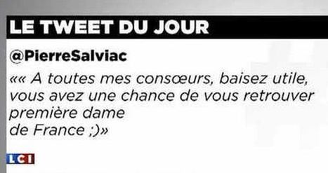 [Etude de cas] Twitter a-t-il tu&eacute; l&rsquo;er&eacute;putation de Pierre Salviac? | R&eacute;seaux et m&eacute;dias sociaux, veille, technique et outils | Scoop.it