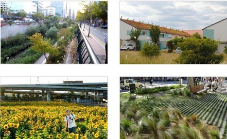 The seven lamps of planning for biodiversity in the city - ScienceDirect | Energy Transition in Europe | www.energy-cities.eu | Scoop.it