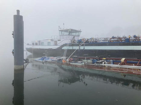Triel : le bateau percute un pont et répand un produit chimique dans la Seine | 78actu / le 21.02.2023 | Pollution accidentelle des eaux (+ déchets plastiques) | Scoop.it