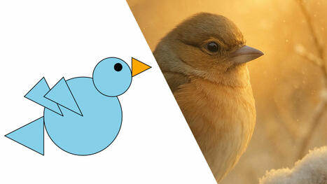 I asked ChatGPT to draw a bird a year ago, then did the same thing today. You won’t believe the difference! | AI for All | Scoop.it