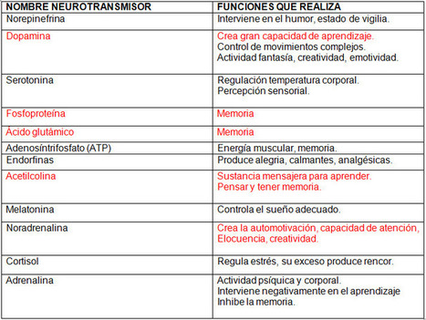 ¿Cómo se relaciona la epigenética con el aprendizaje? | REDEM | NeuroPsicoEducación al Día | Scoop.it