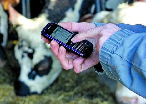L&rsquo;IA au secours de l&rsquo;&eacute;levage | RESSOURCES | Scoop.it