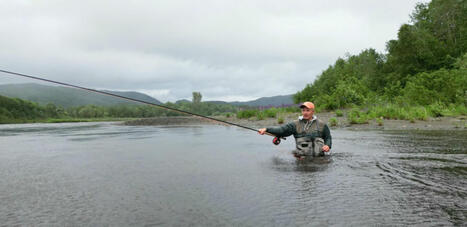 LE GRAND NORD : En Norvège, la lente agonie du saumon sauvage face à l'aquaculture | LE GRAND NORD | Scoop.it