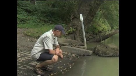 Environmental agencies investigating latex spill in Potomac River / www.your4state.com du 25.09.2015 | Pollution accidentelle des eaux par produits chimiques | Scoop.it