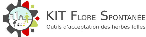 Acceptons la flore spontanée de nos villes ! | Nouveaux paradigmes | Scoop.it