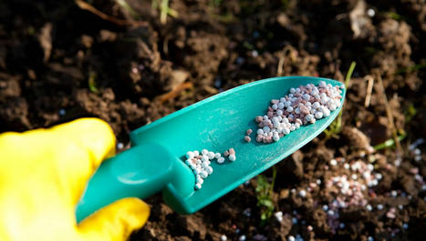 Les engrais azotés de synthèse, un danger pour la santé et l'environnement | Les Colocs du jardin | Scoop.it