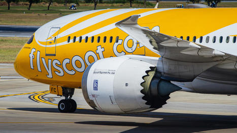 Inside Scoot’s Operations In India | Indian Travellers | Scoop.it