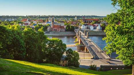 Comment la m&eacute;tropole Rouen Normandie redonne une place aux arbres en ville | Regards crois&eacute;s sur la transition &eacute;cologique | Scoop.it