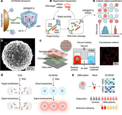 Multiplexed RNA profiling by regenerative catal...