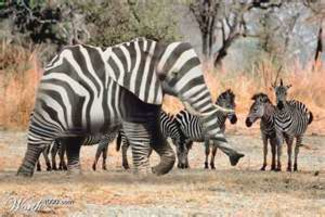 Ce que les nouvelles fa&ccedil;ons d'apprendre changent pour les formateurs | POURQUOI PAS... EN FRAN&Ccedil;AIS ? | Scoop.it
