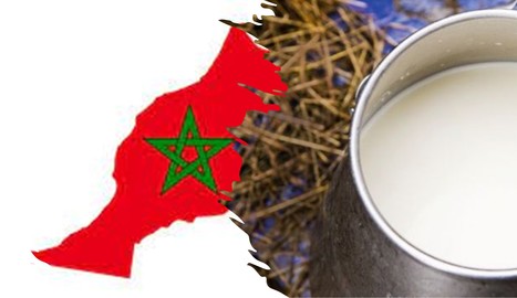 Le risque de pénurie guette les filières du lait et des viandes rouges | Lait de Normandie... et d'ailleurs | Scoop.it