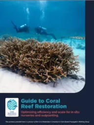 Coral Reef Restoration Guidelines | Biodiversity, Climate Change, Environment, Conservation, Forestry, Fisheries, Oceans and Coasts | Scoop.it