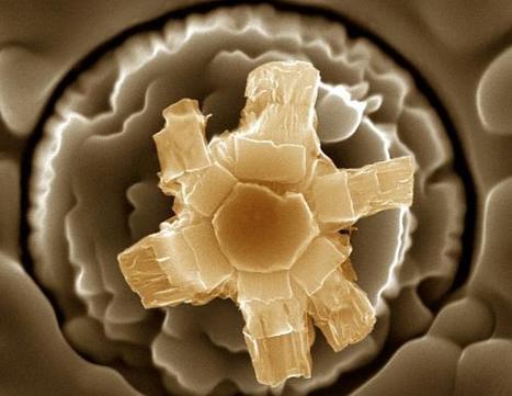 Hidden beauty of the nano-cosmos | Science News | Scoop.it
