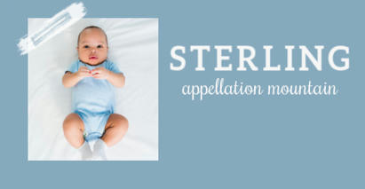 Baby Name Sterling: Shining Virtue Name | Name News | Scoop.it