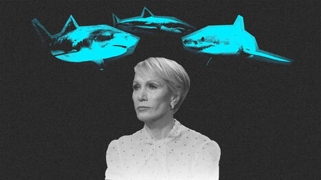 Barbara Corcoran's 'Shark Tank' rejection is an EQ lesson | Performance Project | Scoop.it