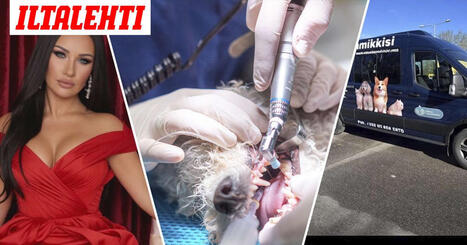 Suomea kiert&auml;&auml; pakettiauto, josta varoitetaan vakavasti | 1Uutiset - Lukemisen t&auml;hden | Scoop.it