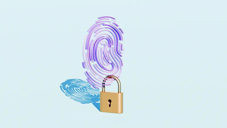 Here’s What CEOs Need to Tell Board Members About Cybersecurity | Cybersecurity Leadership | Scoop.it