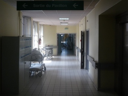 Rhône-Alpes : les cas de gale en recrudescence | EntomoNews | Scoop.it