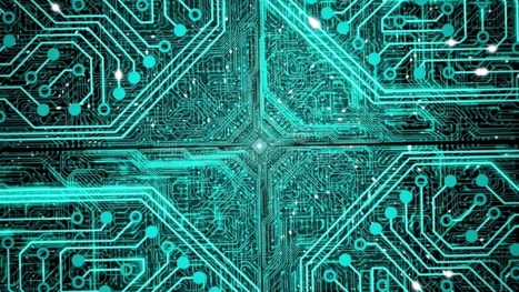 Nuova olivicoltura, un chip inserito nell’apparato radicale per la tracciabilità totale | OLIVE NEWS | Scoop.it