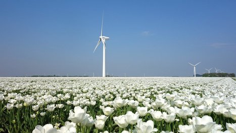 « Identifier et accompagner les compétences de la transition écologique » : synthèse d'un cycle de webconférences | Prospective emploi compétence | Scoop.it