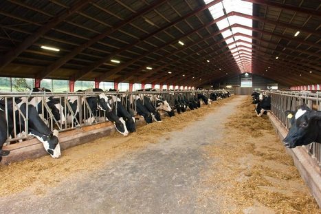 La production laitière australienne continue de chuter | Lait de Normandie... et d'ailleurs | Scoop.it