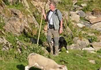 Biert. Jean Bénazet, un berger passionné sur les estives - La Dépêche | Pastoralisme Ours Loups Lynx | Scoop.it