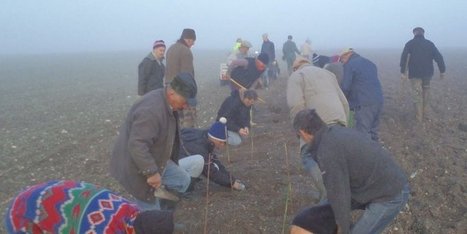 Préserver la biodiversité - Sud Ouest | Variétés entomologiques | Scoop.it