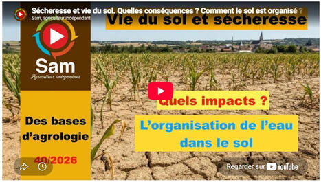 S&eacute;cheresse et vie du sol. Quelles cons&eacute;quences ? Comment le sol est organis&eacute; ? Les eaux du sol. | veille th&eacute;matique | Scoop.it