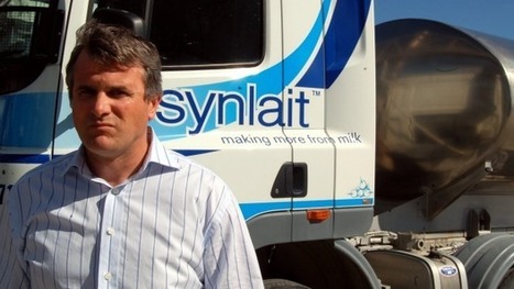 Synlait élève le prix du lait aux agriculteurs à 6,25 $ pour la saison | Lait de Normandie... et d'ailleurs | Scoop.it