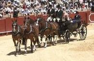 Bellezas de otra época -  Sevilla | Caballo, Caballos | Scoop.it