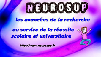 Heuristiquement: Neuroéducation et carte heuristique | Cartes mentales | Scoop.it
