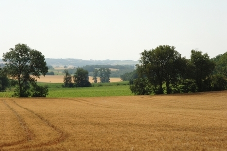 INRA - 201507 Mathématiques et réseaux sociaux au service de la biodiversité cultivée | Biodiversité | Scoop.it